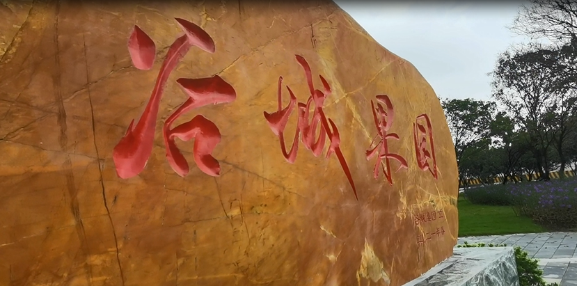 谷城礦業(yè)直播：走進(jìn)“谷城果園”！