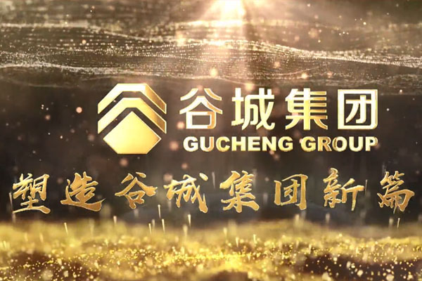 共筑新時(shí)代，不負(fù)韶華夢(mèng)——谷城集團(tuán)隆重舉行2019年度榮譽(yù)表彰大會(huì)暨2020年迎春年會(huì)